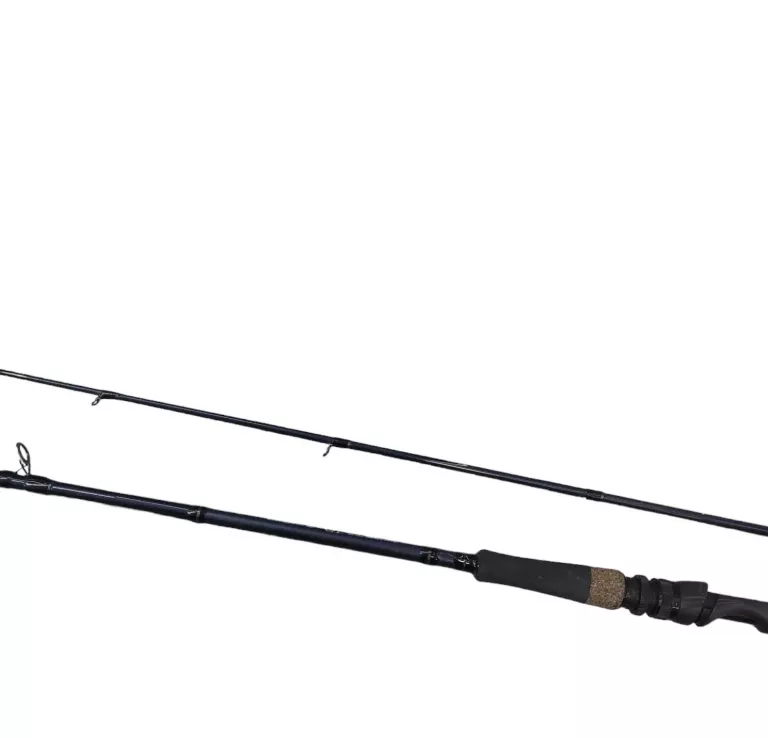 WĘDKA DRAGON JERK 80H 40-80 G