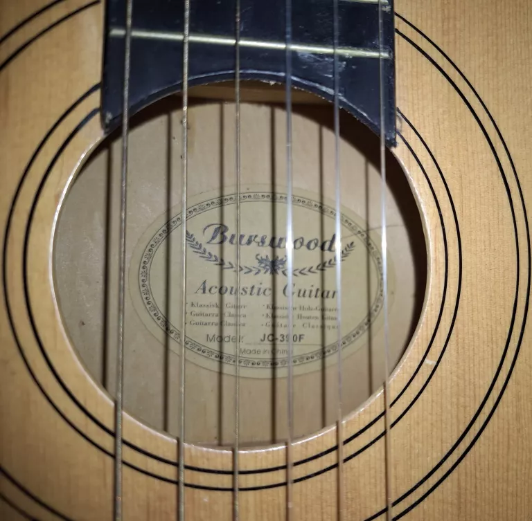 GITARA BURSWOOD ACOUSTIC GUITAR JC-390F