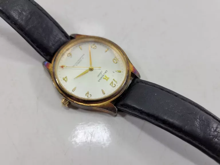 zegarek-delbana-25020-mechanizm-18738-1