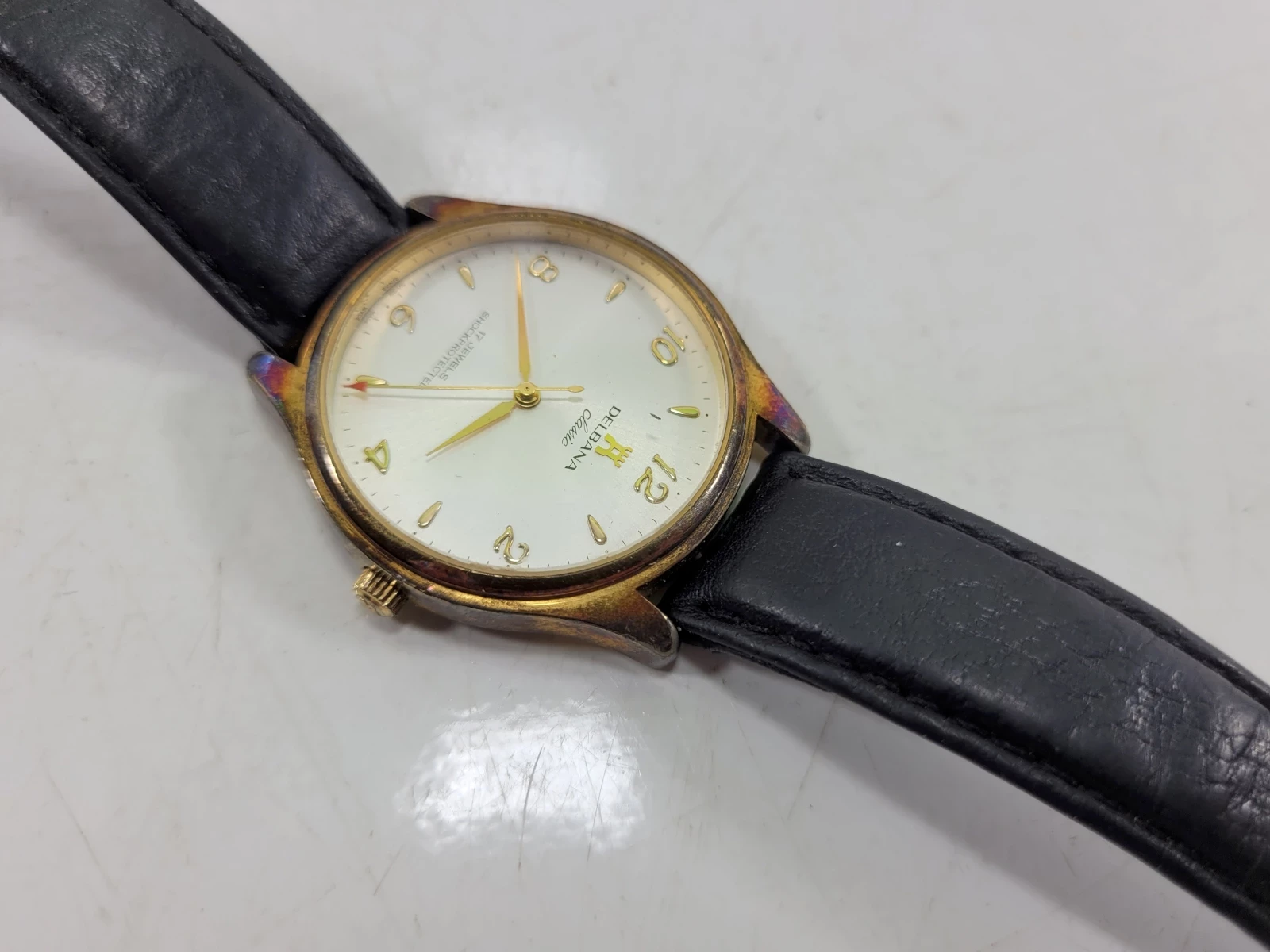 zegarek-delbana-25020-mechanizm-18738-1