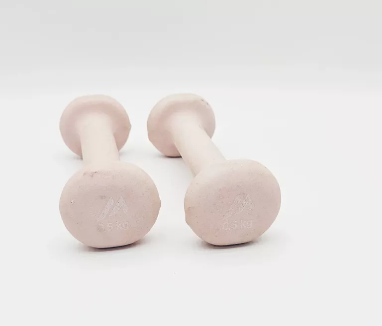 2X ODWAŻNIK FITNESS 0,5KG