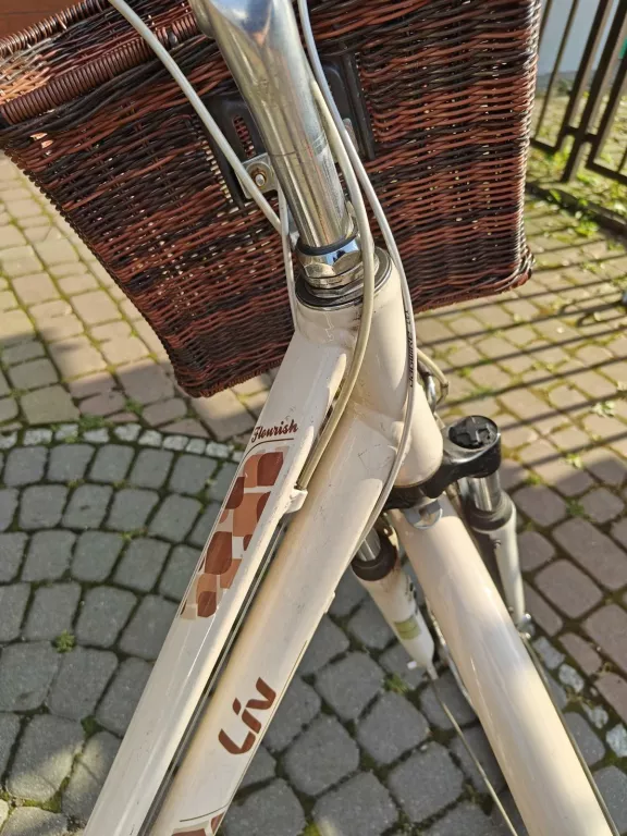 ROWER GIANT LIV FLOURISH FS 1 2016 POLECAM!