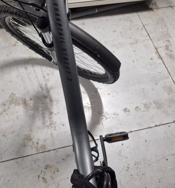 ROWER BULLS SHARPTAIL STREET 2