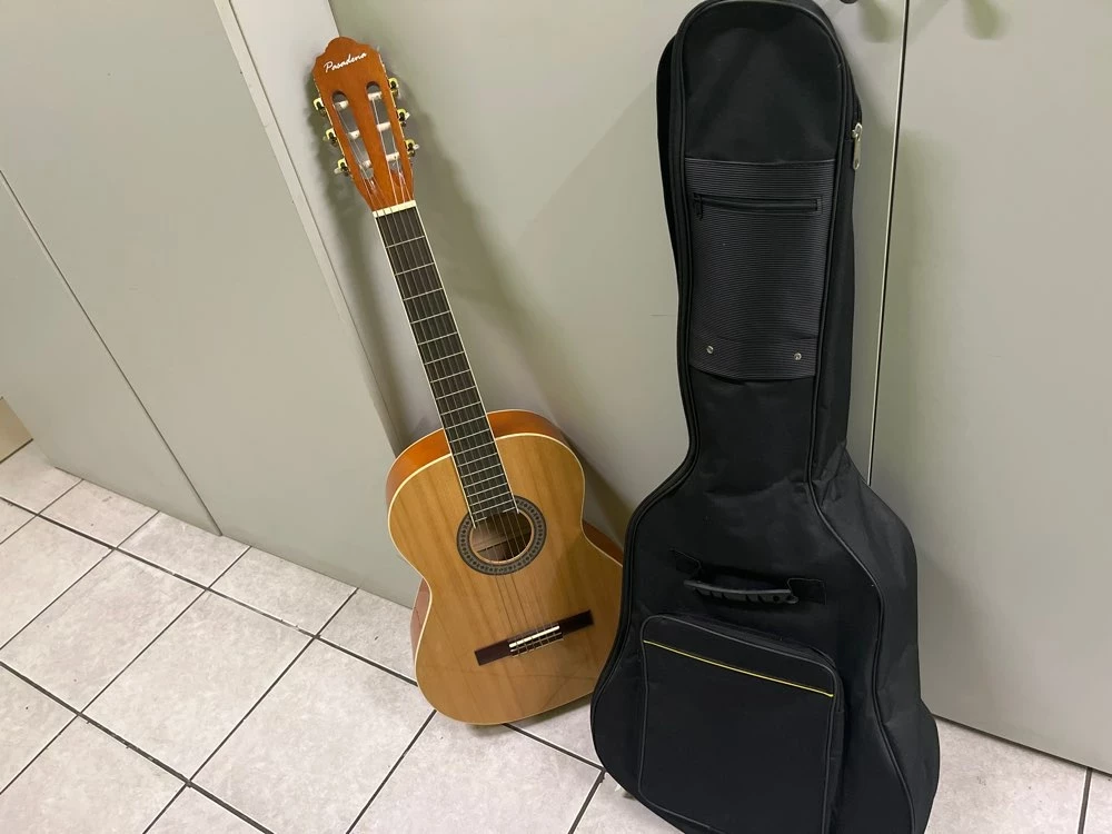 gitara-pasadena-sc01sl-na-ean-gtin-6970533502545