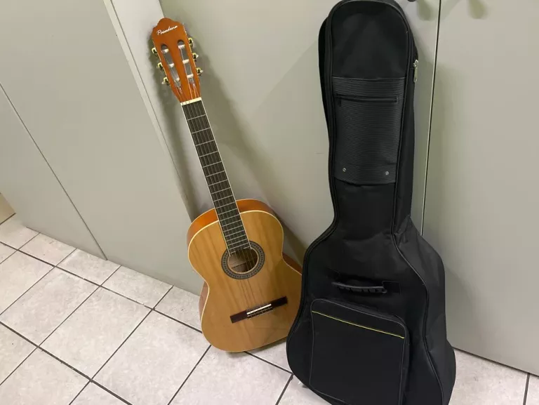 gitara-pasadena-sc01sl-na-ean-gtin-6970533502545