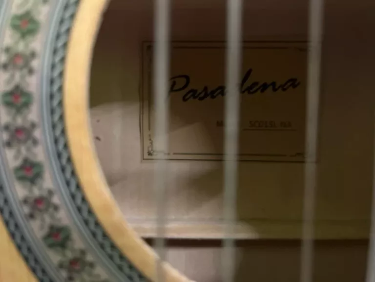 gitara-pasadena-sc01sl-na-marka-248811-2031748