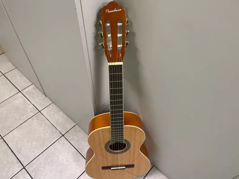 gitara-pasadena-sc01sl-na-wojska-polskiego-112-swiecie