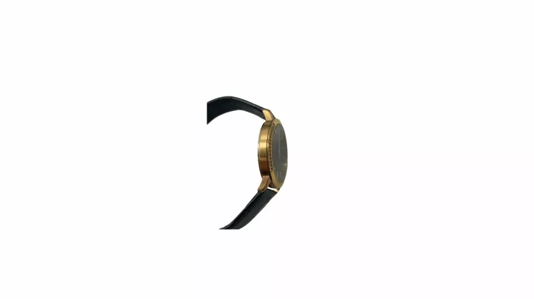 BERGSTERN SWISS WATCH