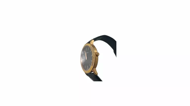 BERGSTERN SWISS WATCH