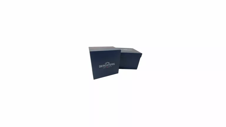 BERGSTERN SWISS WATCH
