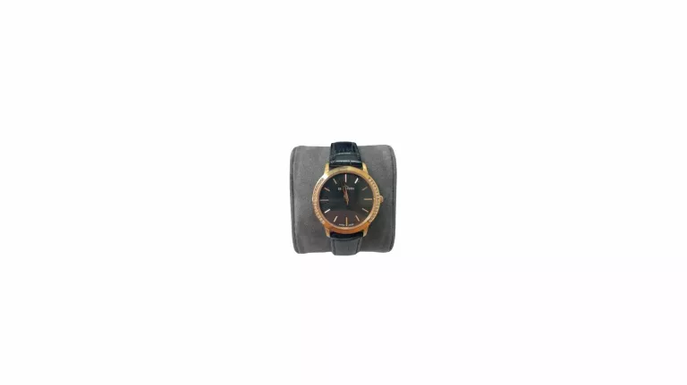 BERGSTERN SWISS WATCH