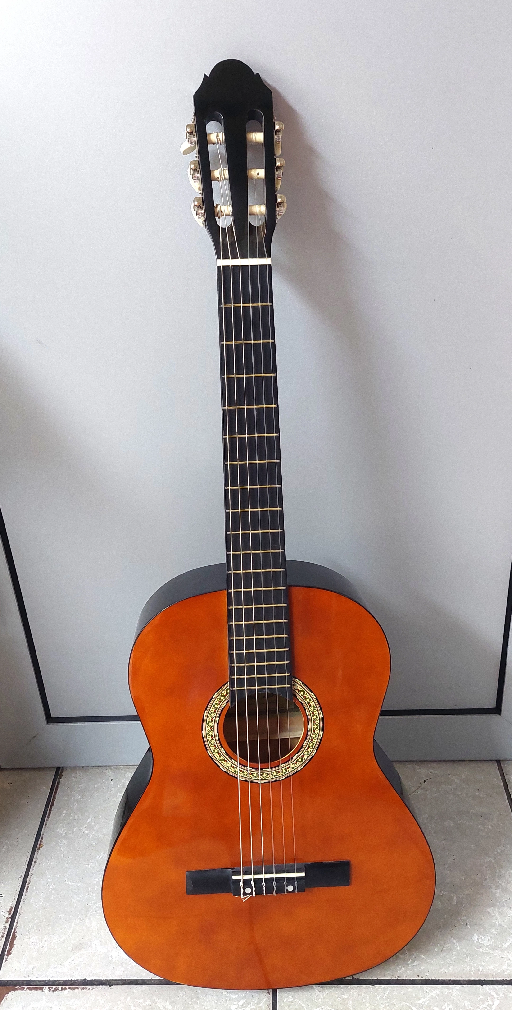 gitara-akustyczna-sheffield-z-pokrowcem-stan-uzywany