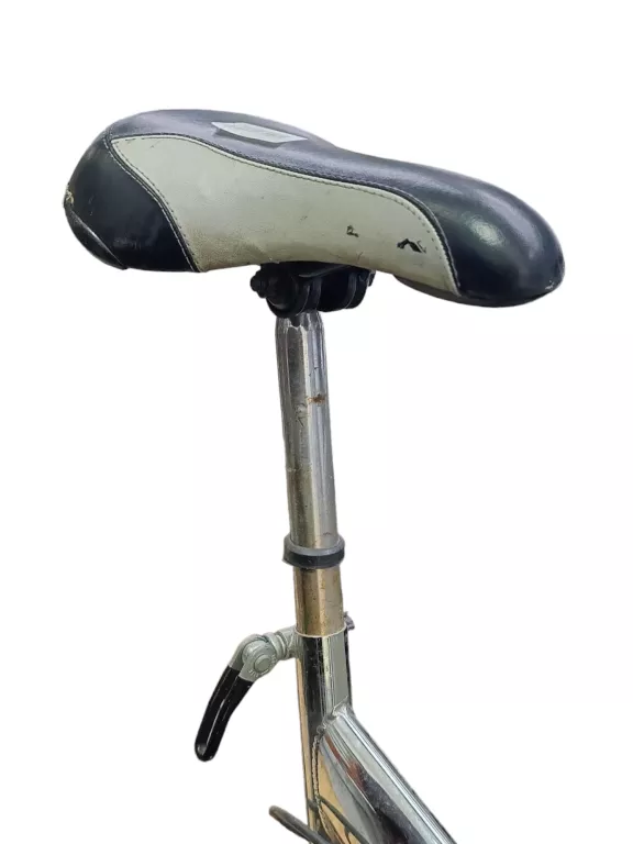 ROWER RAGAZZI LINER 26'