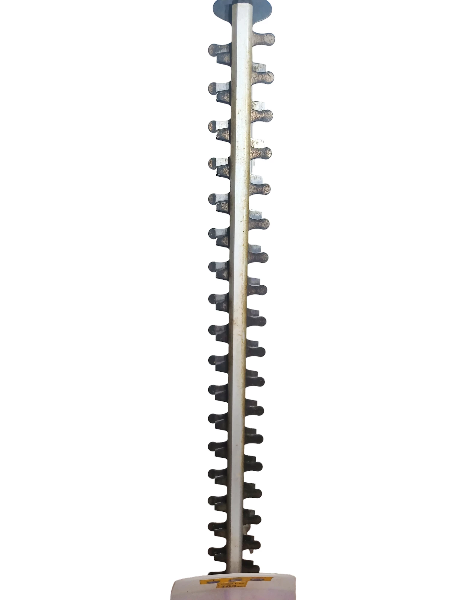 sd