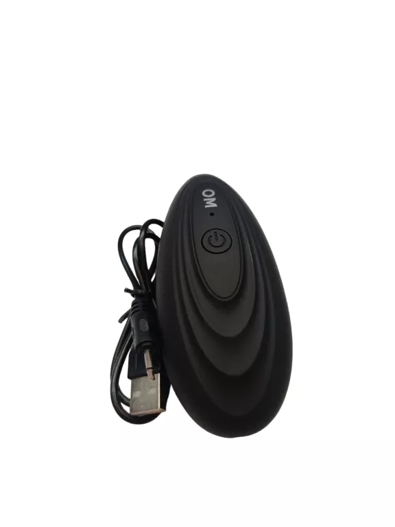 urzadzenie-do-trenowania-psa-stan-11323-238058