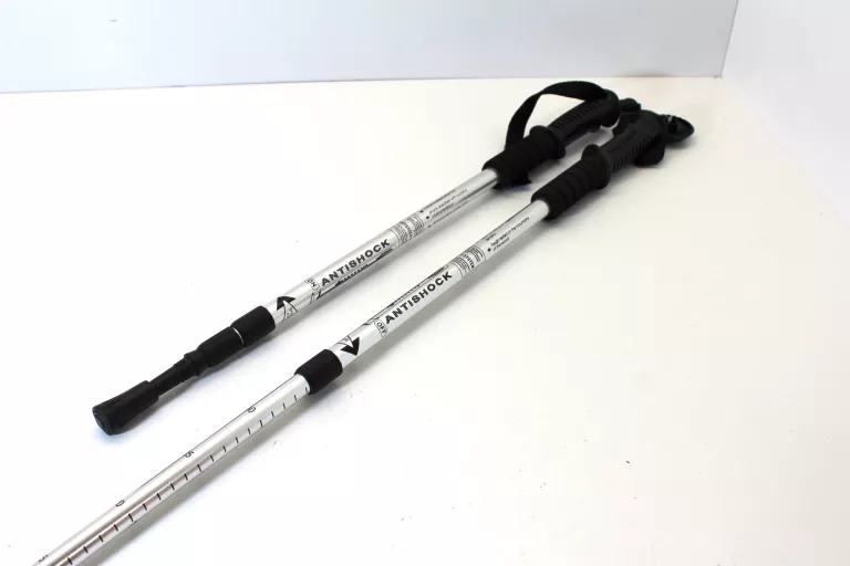 KIJKI DO NORDIC WALKING