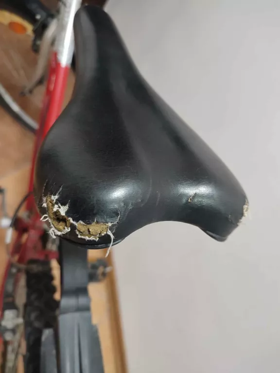 rower-classic-smart-rozmiar-kola-129289-2048