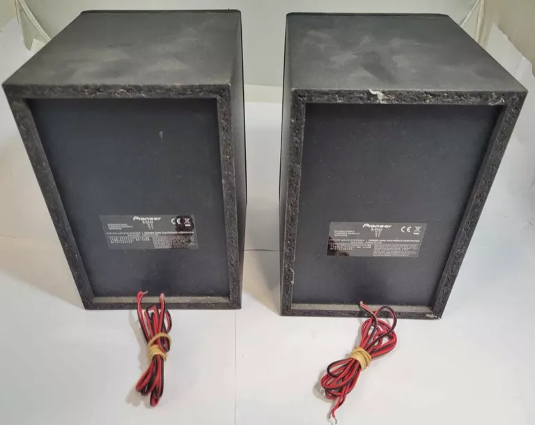 MINIWIEŻA PIONEER X-EM12