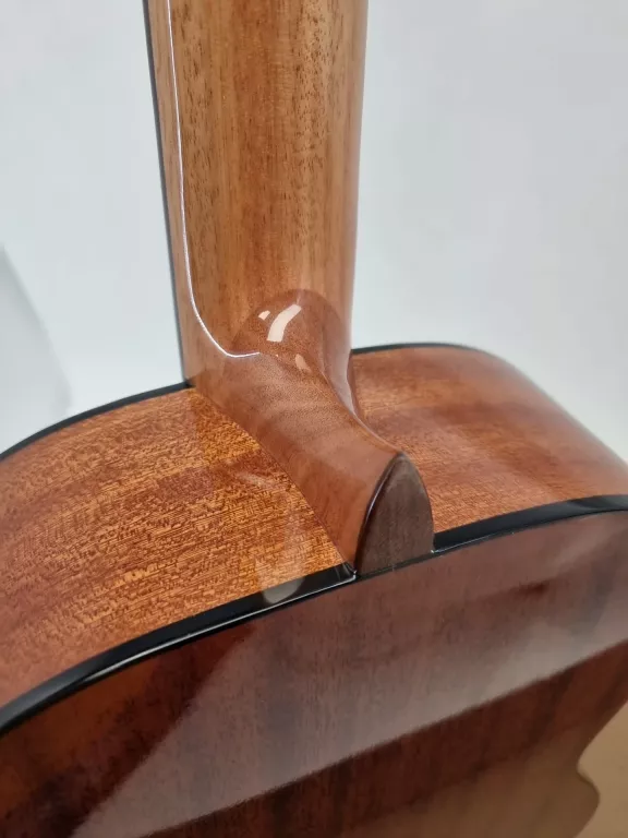 SALVADOR CORTEZ CC-10 GITARA KLASYCZNA
