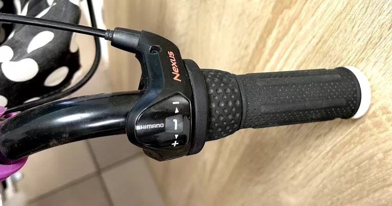 rower-medano-artist-tatoo-plec-130411-1030181