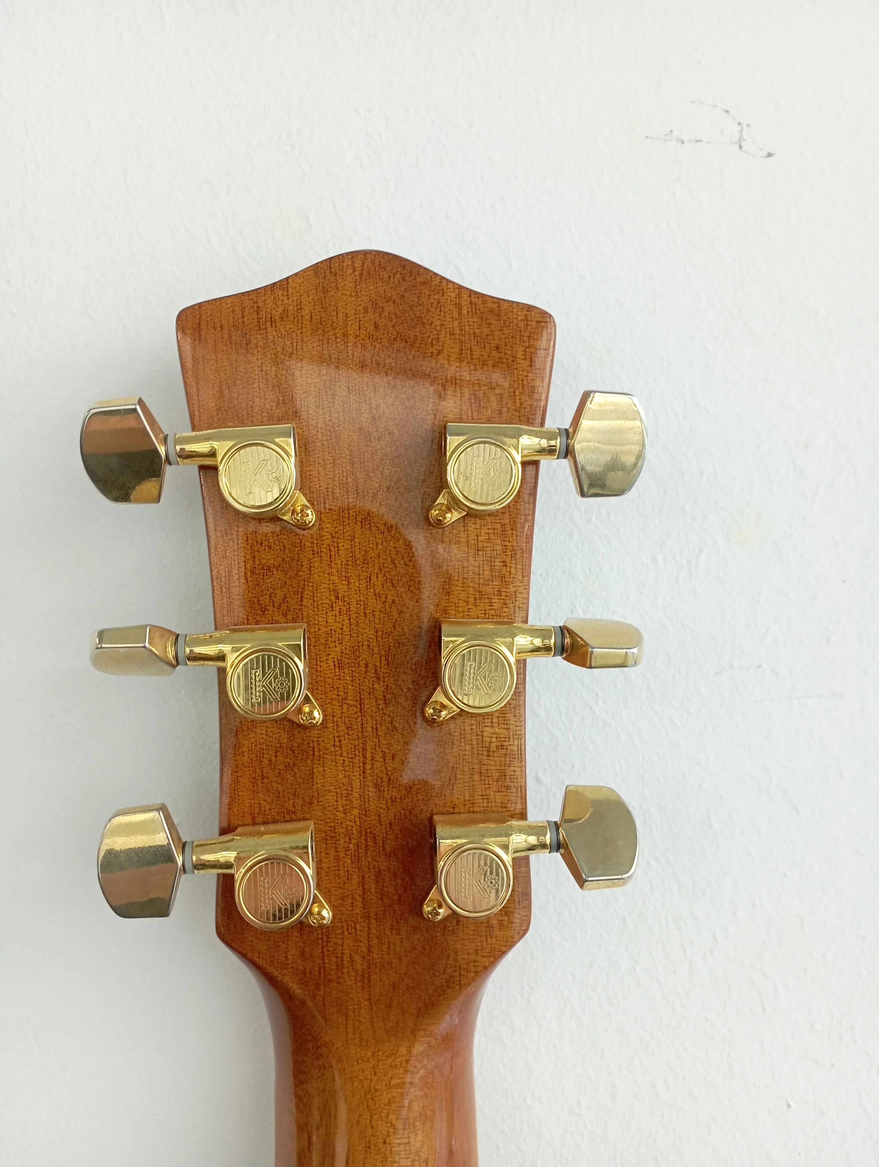 gitara-akustyczno-elektroniczna-tburton-foresthill-wc-n-product-id-6dce1001-e06b-4d33-b5d6-421b283f259f