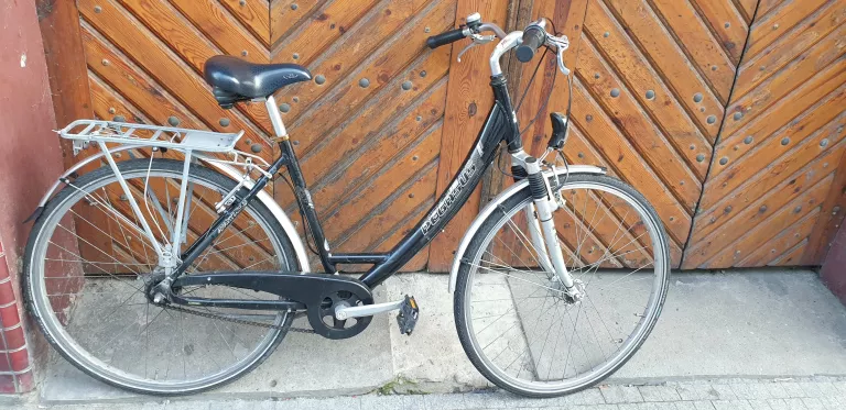 ROWER TREKINGOWY PEGASUS