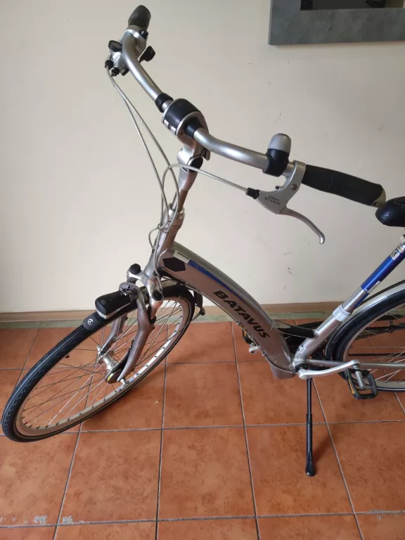 ROWER BATAVUS PADOVA