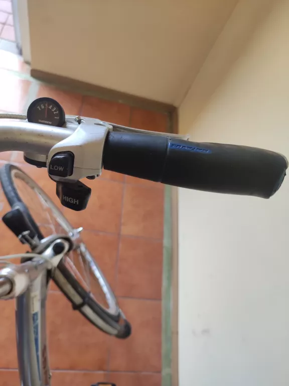 ROWER BATAVUS PADOVA