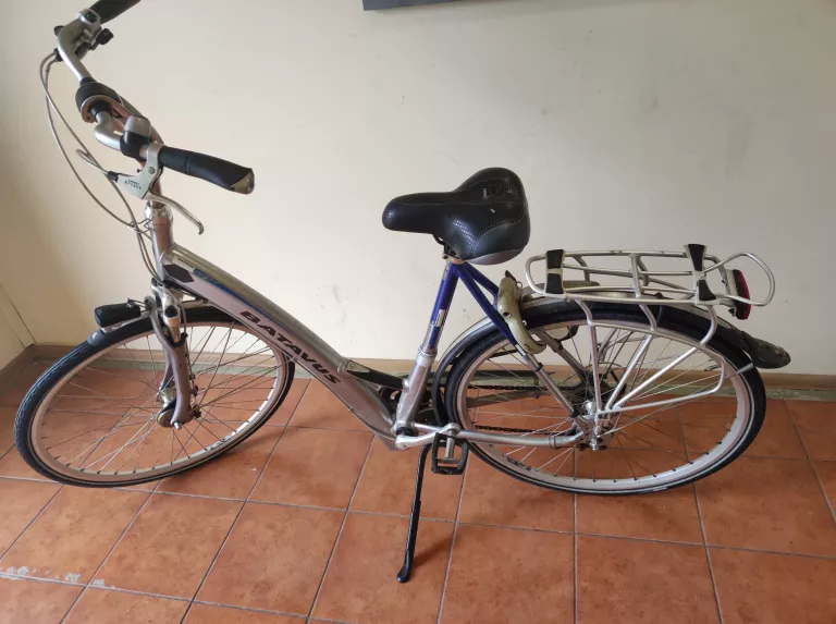 ROWER BATAVUS PADOVA