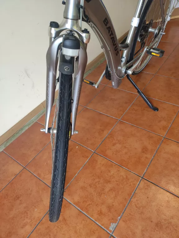 ROWER BATAVUS PADOVA