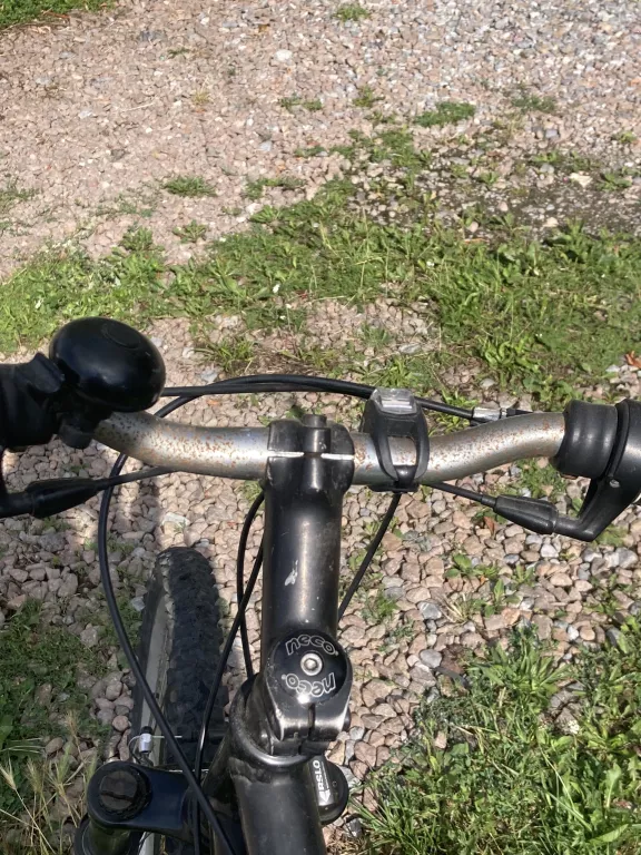 rower-giant-sedona-ean-gtin-9004753502621