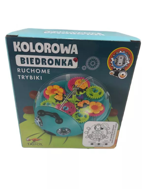 KOLOROWA BIEDRONKA RYCHOME TRYBIKI