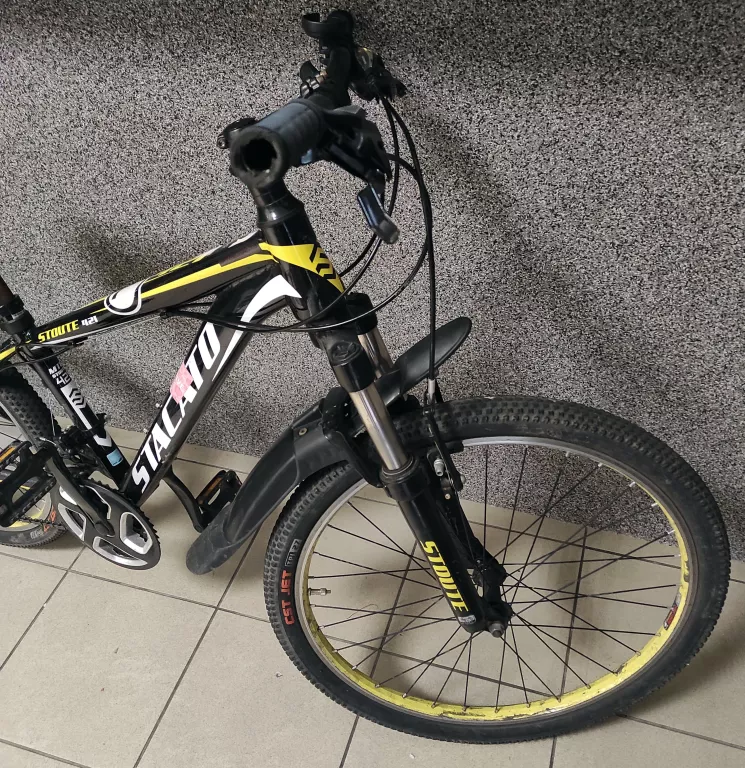 ROWER MTB STACATO STOUTE 421 24"