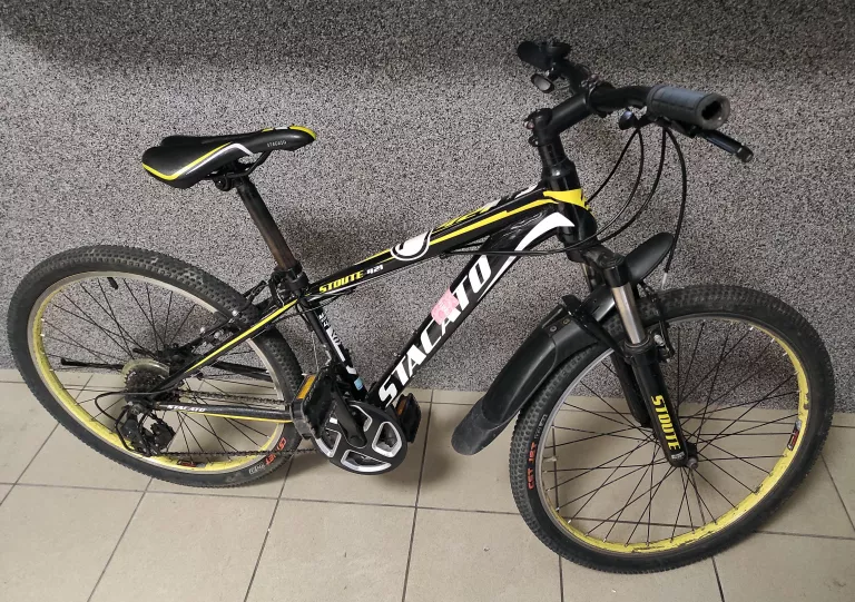 ROWER MTB STACATO STOUTE 421 24"