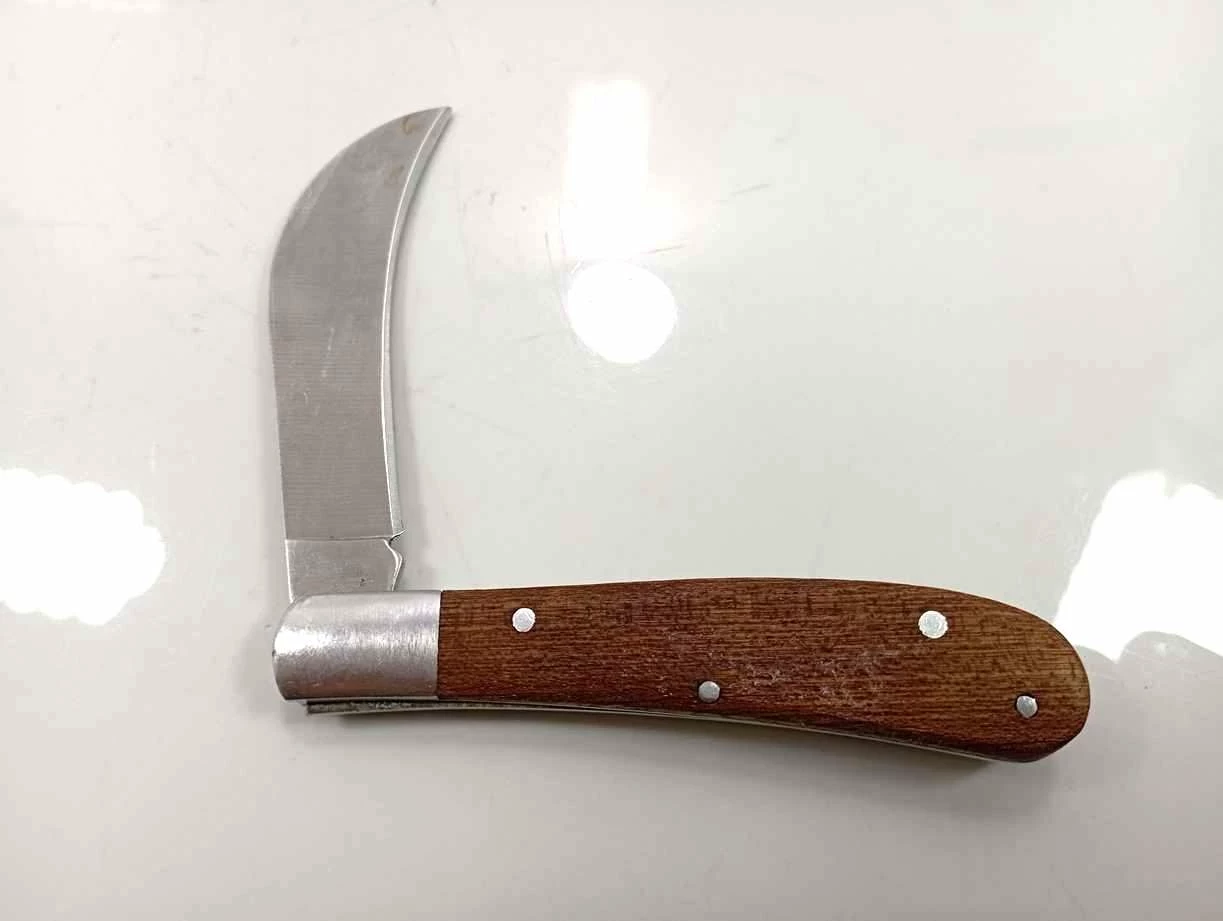 noz-do-zbierania-grzybow-ean-gtin-4050346833684