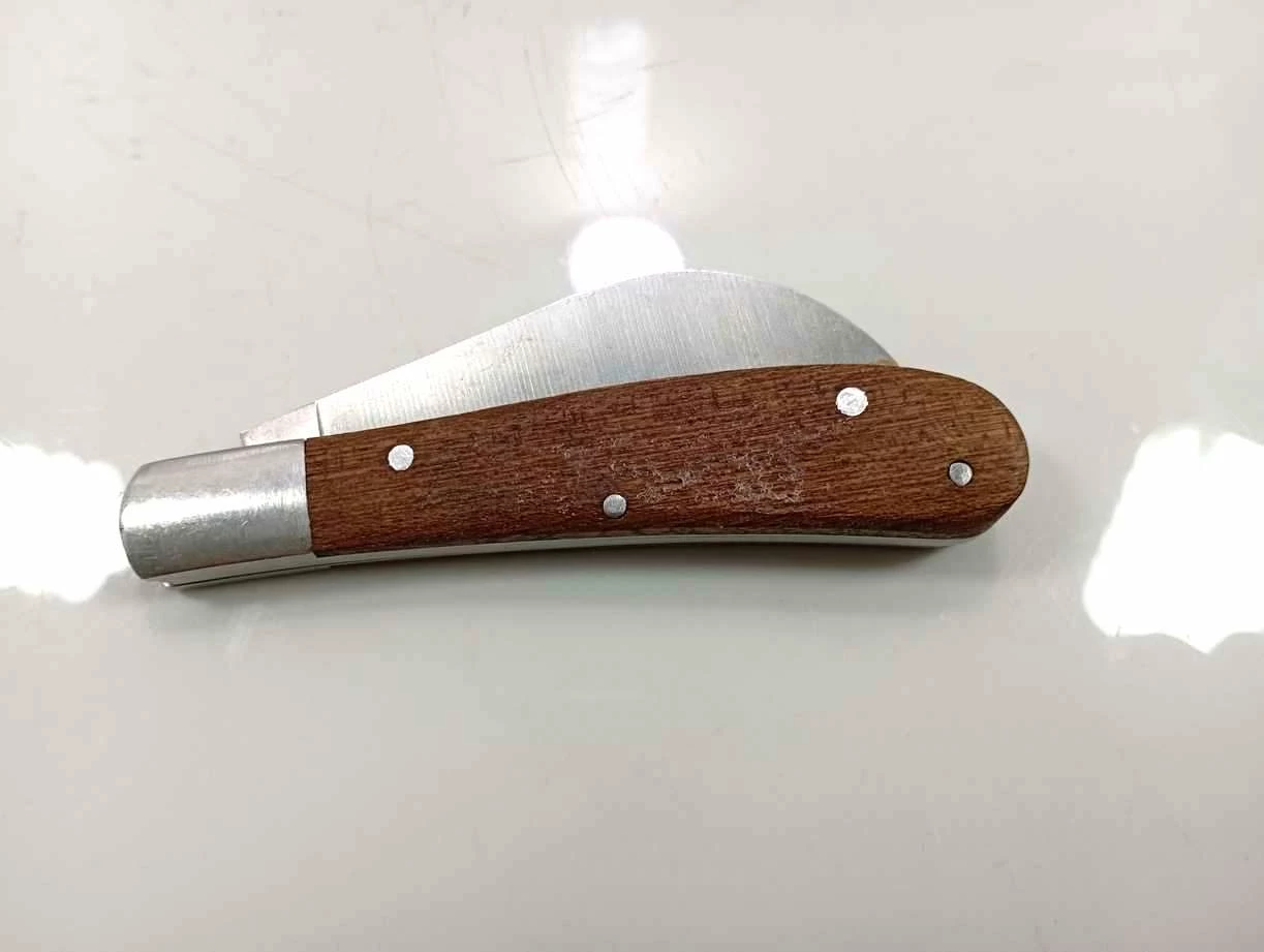 noz-do-zbierania-grzybow-polwiejska-13-poznan-ska-x