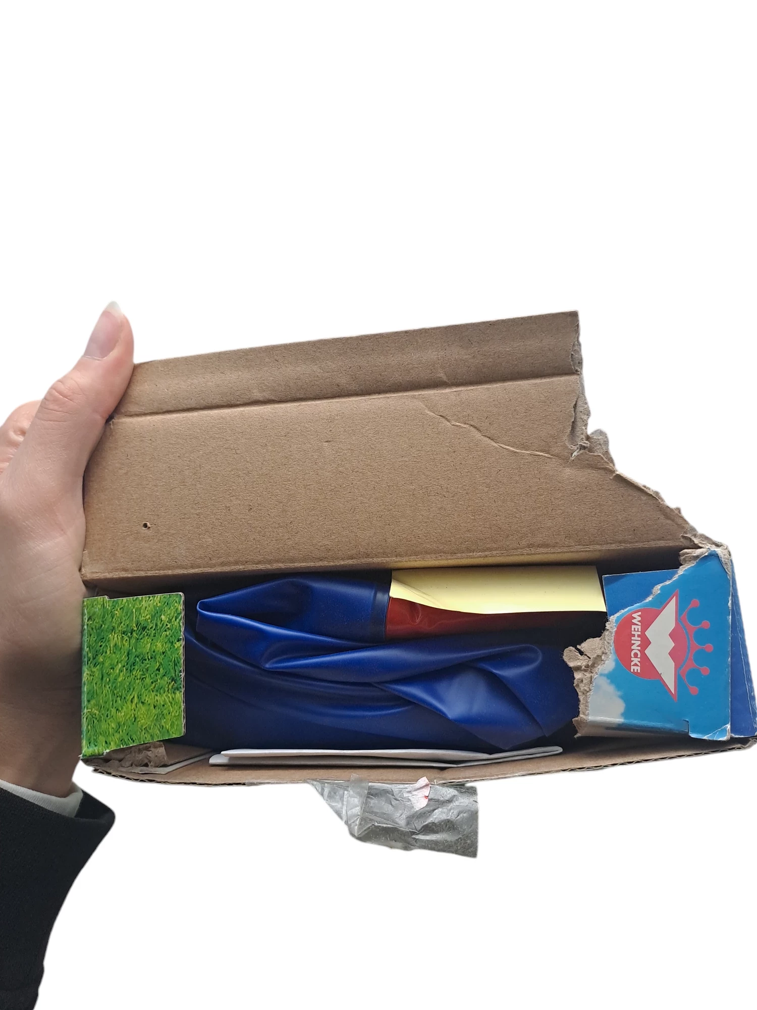 mini-basen-wehncke-123x23-ean-gtin-4008332777108