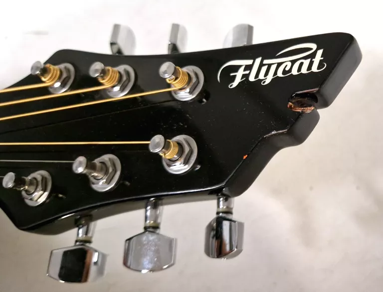 GITARA FLYCAT C100