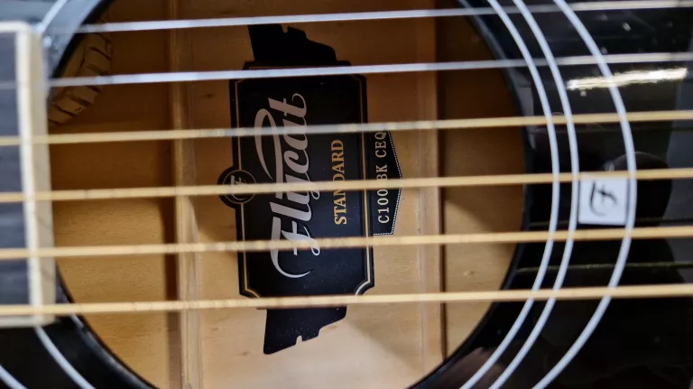 GITARA FLYCAT C100