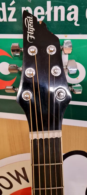 GITARA FLYCAT C100