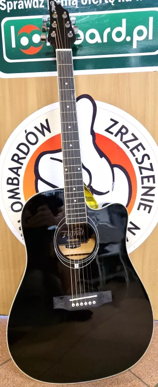 GITARA FLYCAT C100