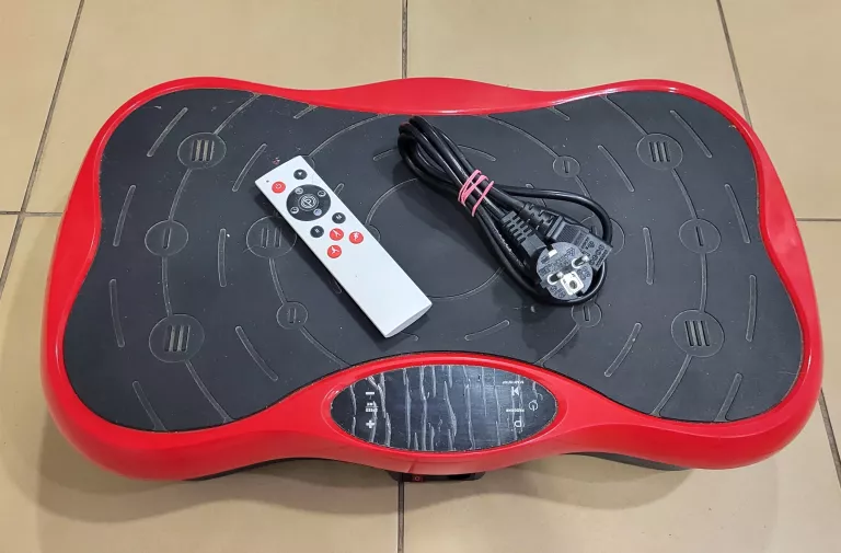 platforma-wibracyjna-pilot-sw-katarzyny-4-torun