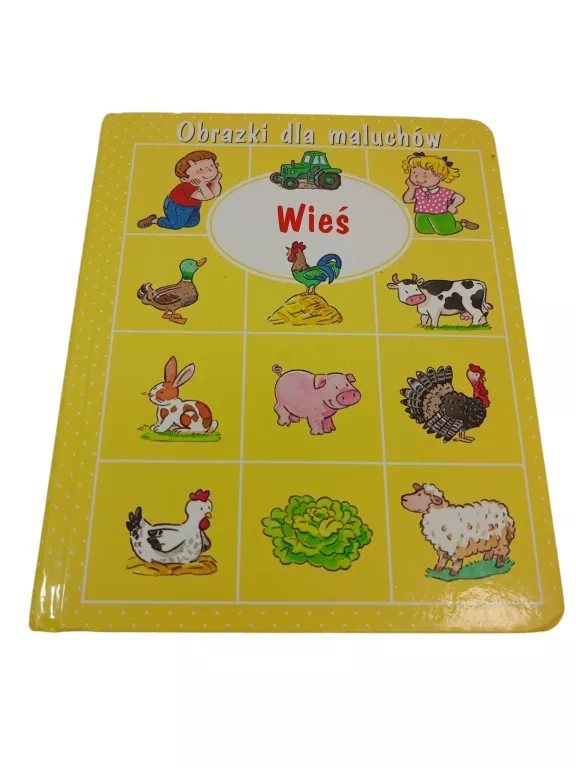 KSIĄŻKA ,,WIEŚ''