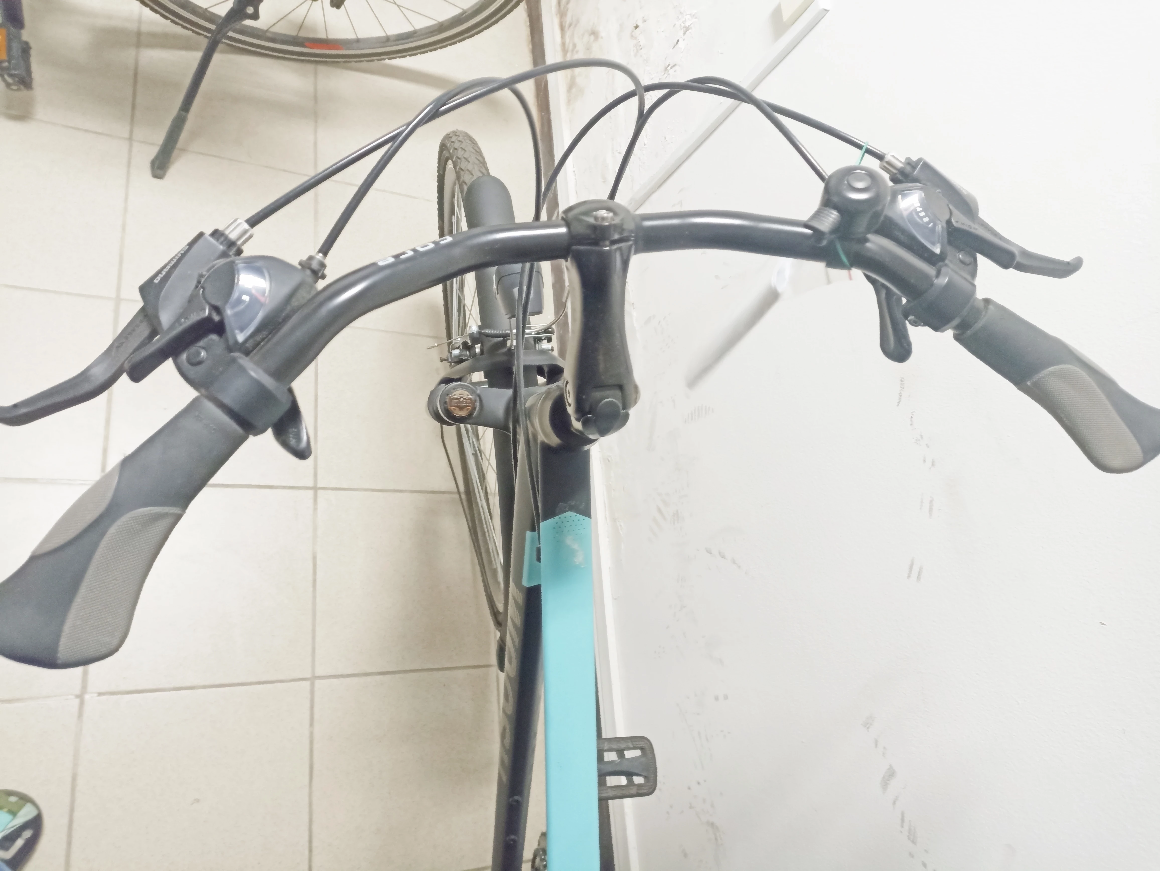 rower-tkb-28-woosch-21b-plec-130411-1030181