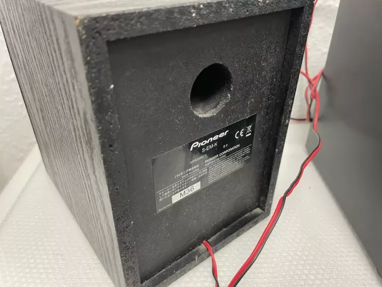 MINIWIEŻA PIONEER X-EM11