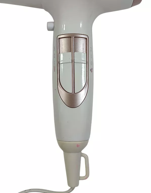 SUSZARKA DO WŁOSÓW BOTTI SD-802