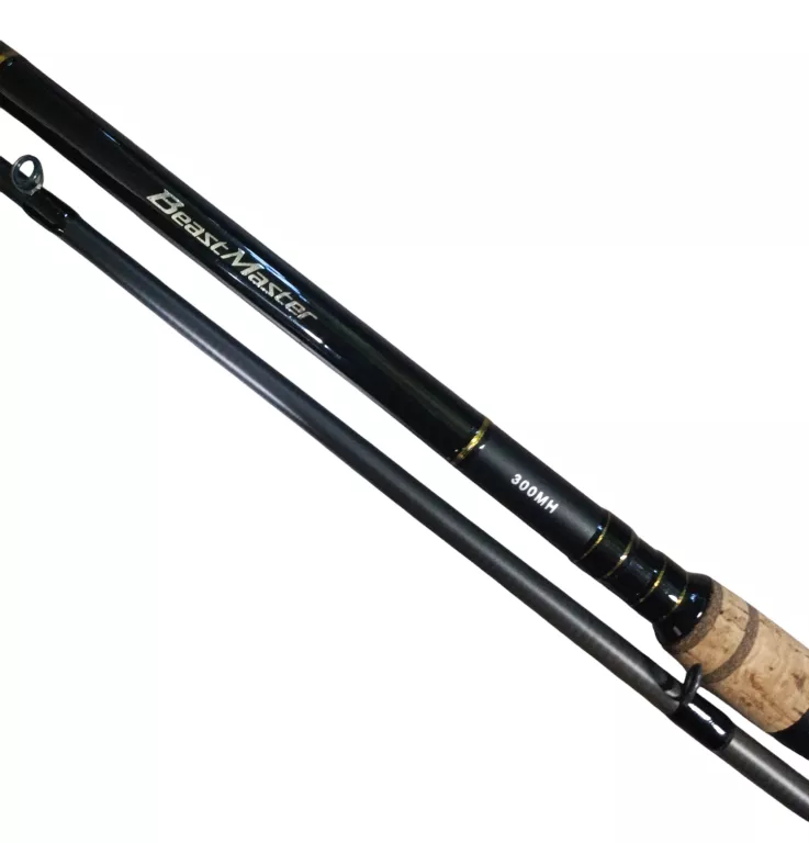 WĘDKA SHIMANO BEASTMASTER FX SPIN 300CM 14-42G POKROWIEC