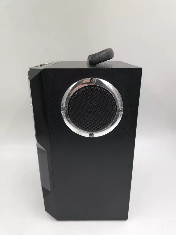 GŁOŚNIK PRZENOŚNY KARAOKE RX-303 + PILOT + MIKROFON 100W