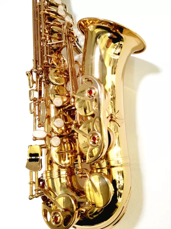 SAKSOFON ALTOWY J.MICHAEL AL-500 CASE