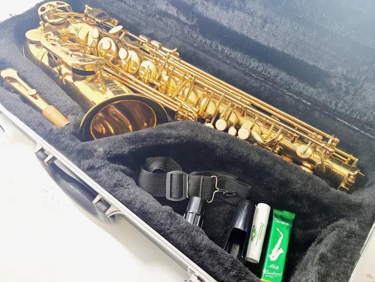 SAKSOFON ALTOWY J.MICHAEL AL-500 CASE